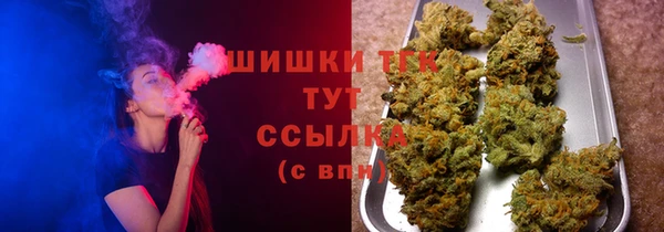 тгк Аркадак
