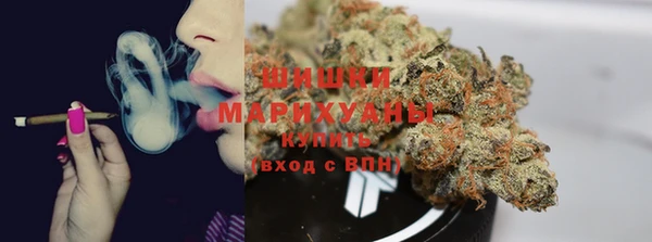 экстази Арсеньев