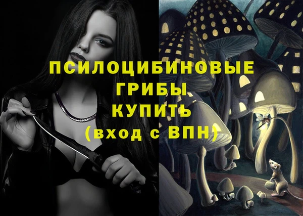 экстази Арсеньев