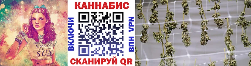 Бошки Шишки план  как найти закладки  Лихославль 